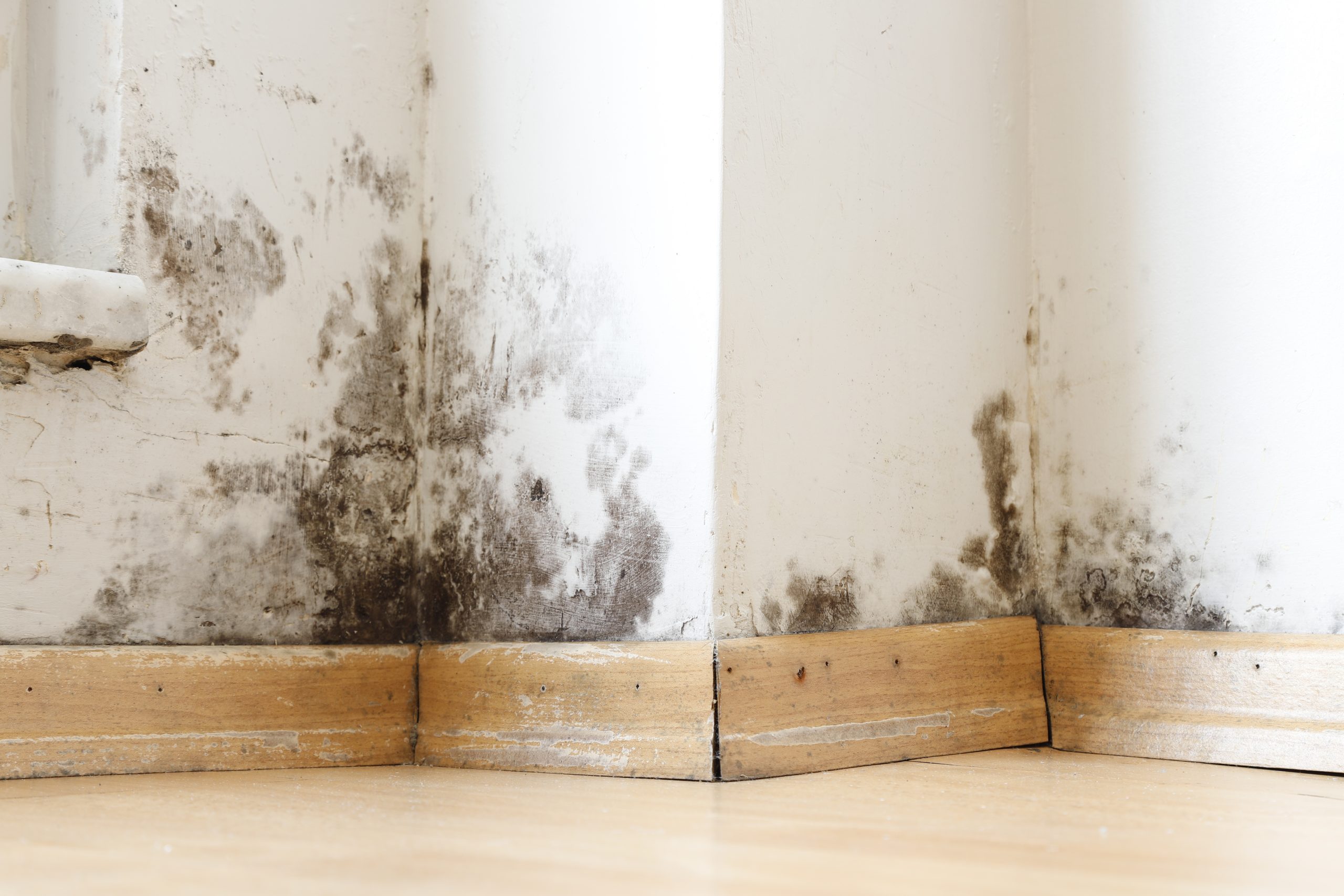 Nationwide Damp Remediation Programme